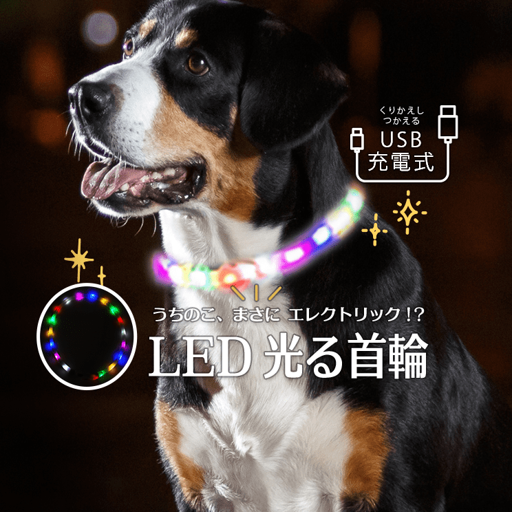 犬専用 USB充電式LED光る首輪