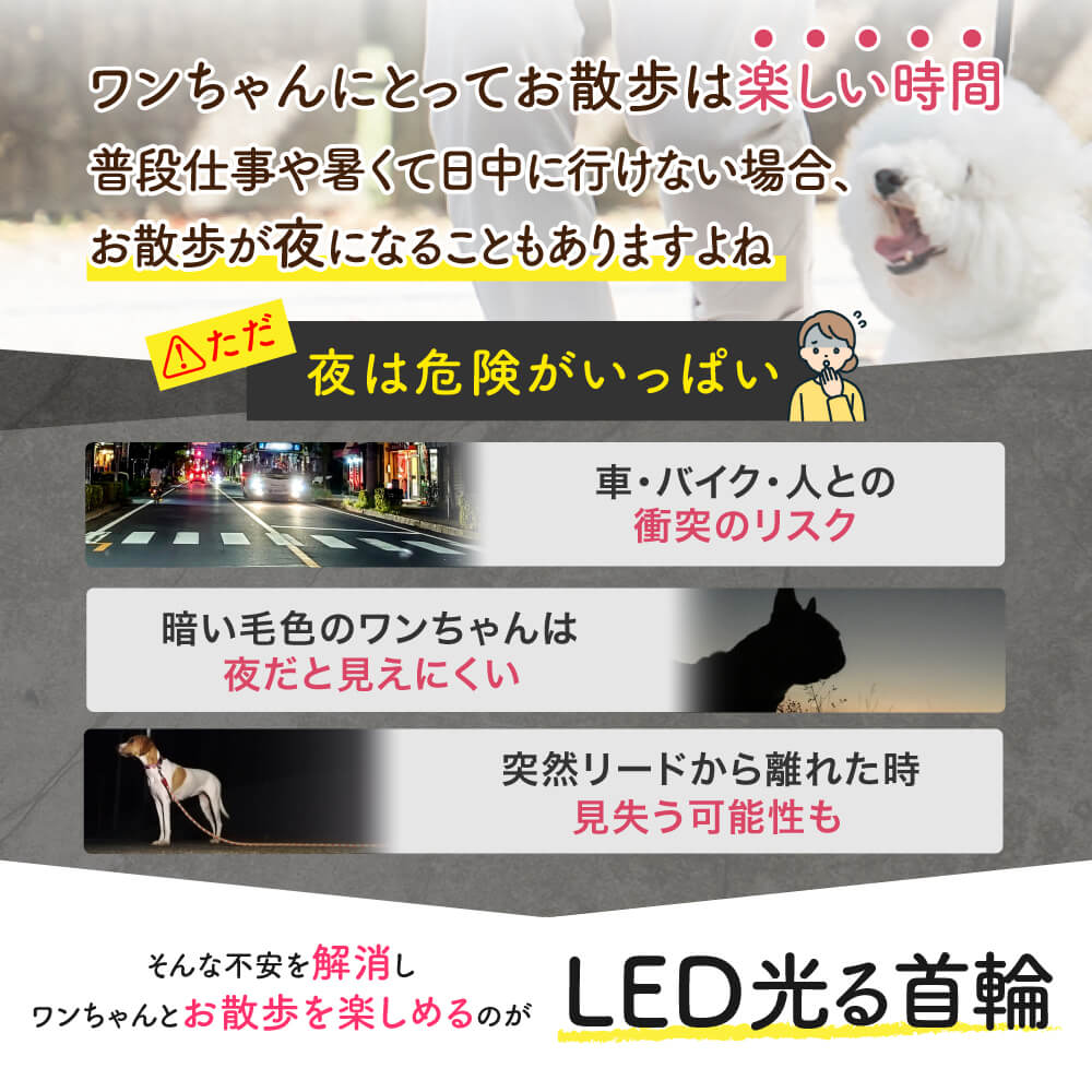 【ドッグトレーナー監修】犬専用LED光る首輪
