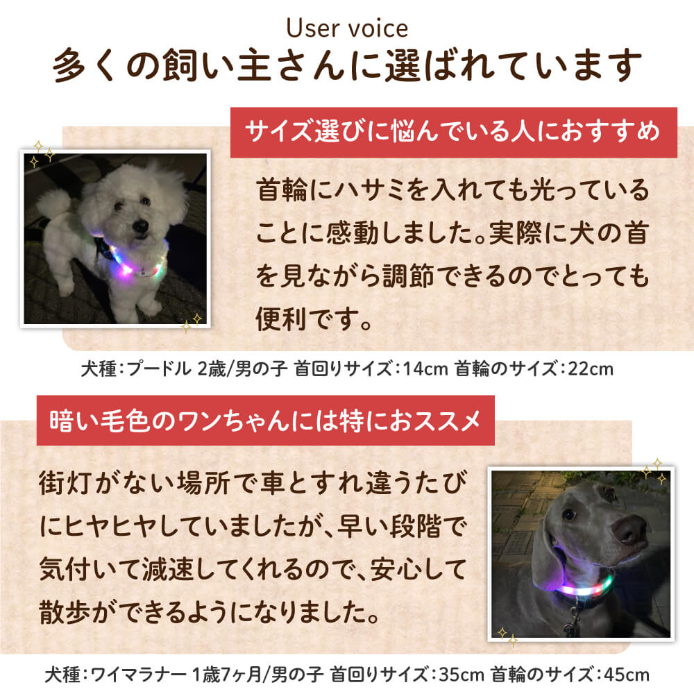 【ドッグトレーナー監修】犬専用LED光る首輪