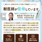 【獣医師監修】 LED猫ポインター