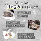 【獣医師監修】 LED猫ポインター