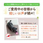【獣医師監修】 LED猫ポインター