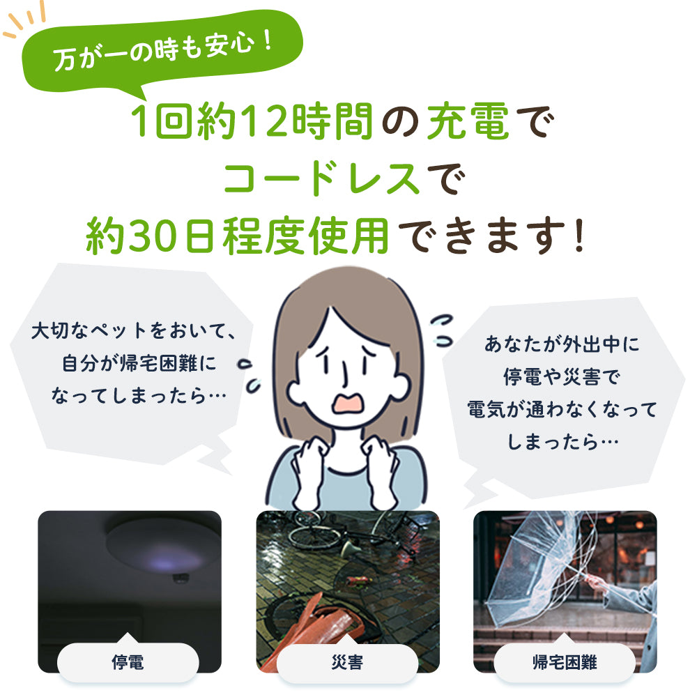 【獣医師推奨】ウェットフード対応自動給餌器 カリカリマシーンFR