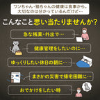 【獣医師推奨】タイマー式自動給餌器 カリカリマシーンV2