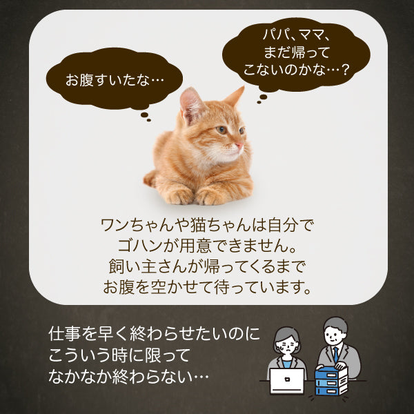 【獣医師推奨】タイマー式自動給餌器 カリカリマシーンV2