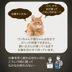 【獣医師推奨】タイマー式自動給餌器 カリカリマシーンV2