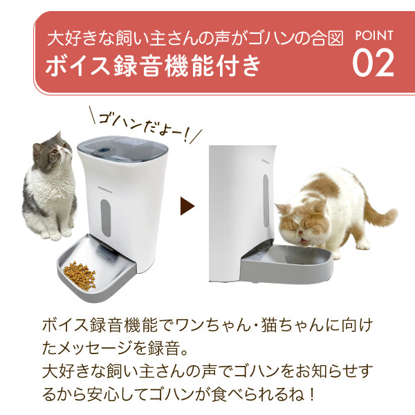 【獣医師推奨】タイマー式自動給餌器 カリカリマシーンV2