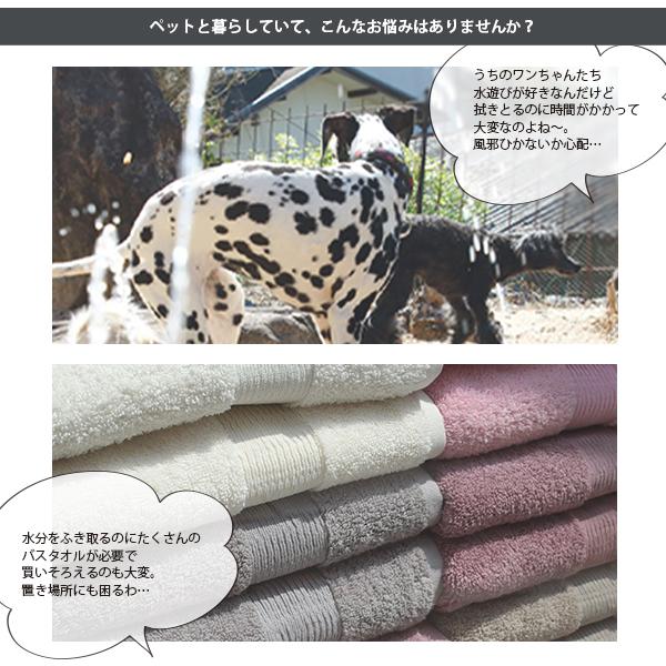 Taitto クイックドライ タオル