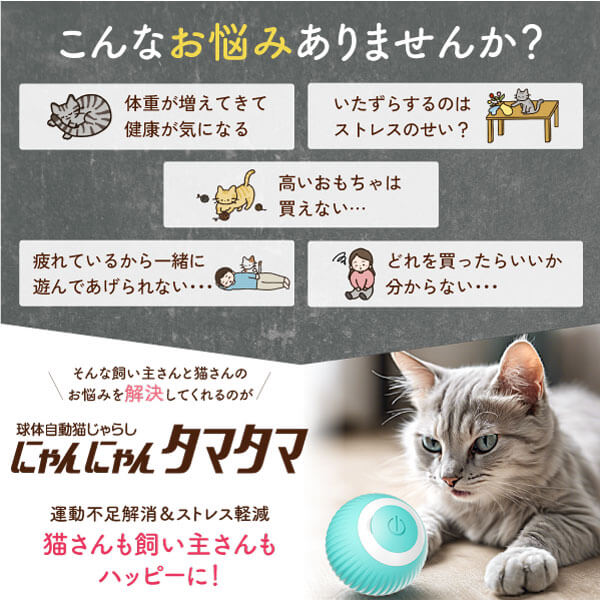 獣医師監修】 球体自動猫じゃらし にゃんにゃんタマタマ – うちのこ