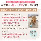 【獣医師監修】 球体自動猫じゃらし にゃんにゃんタマタマ