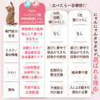 【獣医師監修】 球体自動猫じゃらし にゃんにゃんタマタマ
