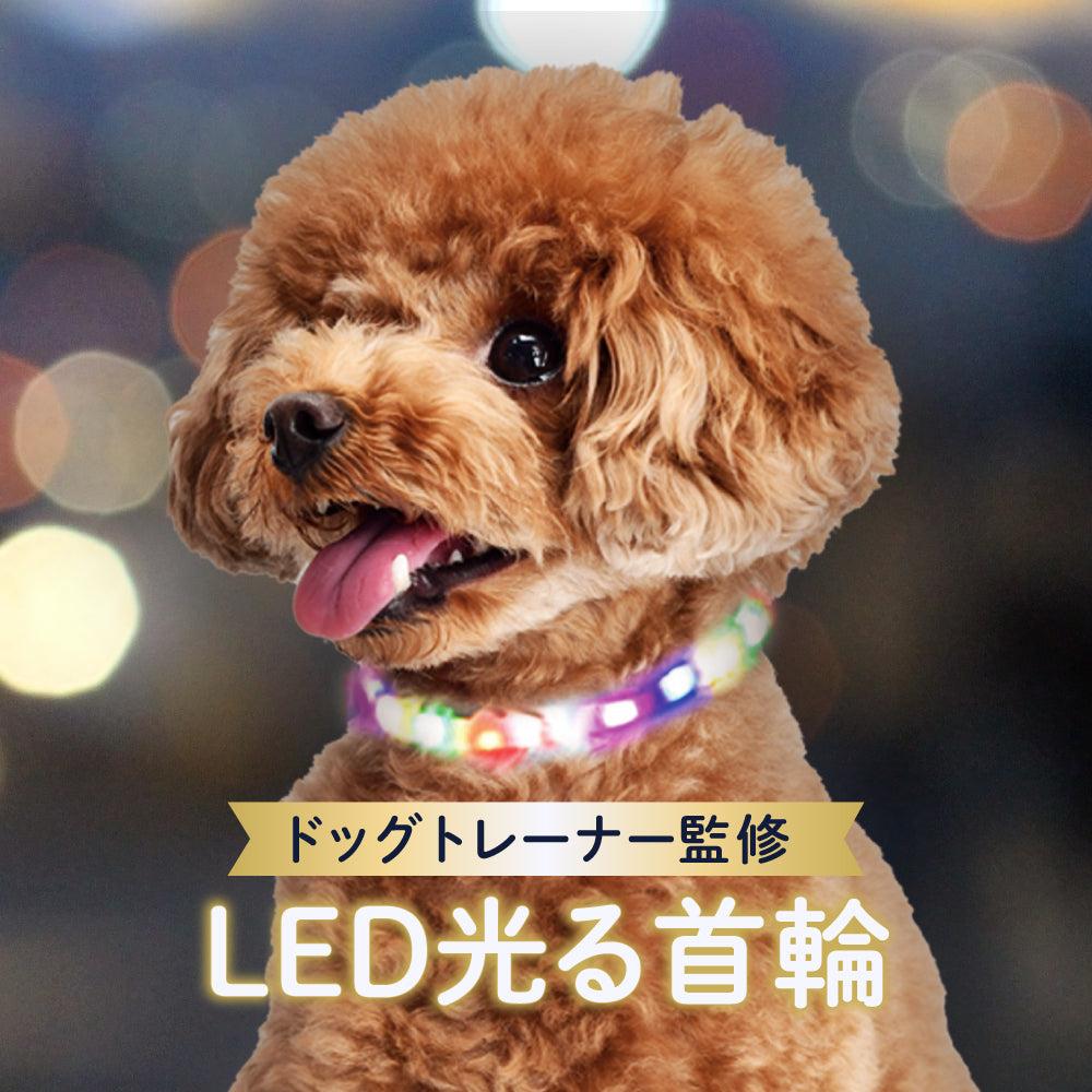 【ドッグトレーナー監修】犬専用LED光る首輪