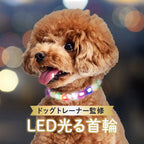 【ドッグトレーナー監修】犬専用LED光る首輪