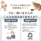 【獣医師推奨】ウェットフード対応自動給餌器 カリカリマシーンFR