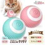【獣医師監修】 球体自動猫じゃらし にゃんにゃんタマタマ