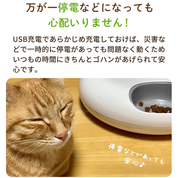 【獣医師推奨】ウェットフード対応自動給餌器 カリカリマシーンFR