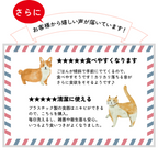 V2シリーズ専用ステンレストレイ 猫 犬 自動給餌器カリカリマシーンV2・V2C専用 容器 ステンレス製  V2シリーズ対応 V2シリーズ専用