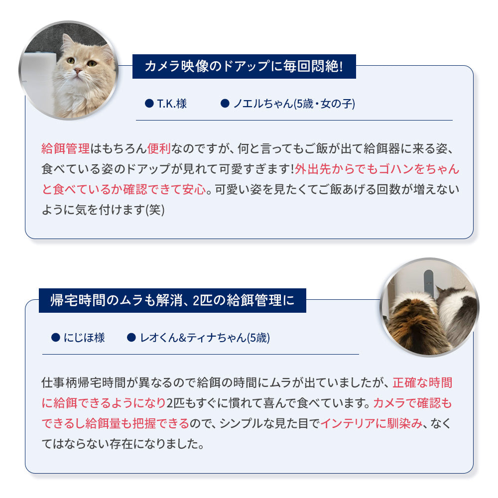 【獣医師監修】カリカリマシーンV2C Plus/スマホ連動型自動給餌器