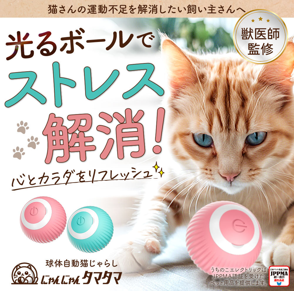 獣医師監修】 球体自動猫じゃらし にゃんにゃんタマタマ – うちのこ