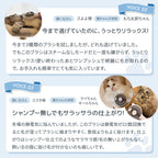 【獣医師・トリマーW監修】うちエレサロン 猫専用 まほうの猫ブラシ