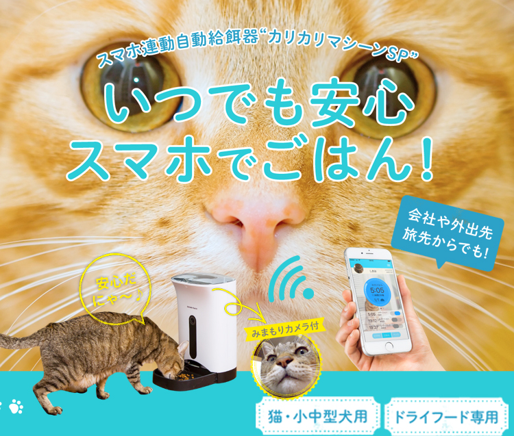 本製品は販売終了しました】カリカリマシーンSP/スマホ遠隔操作型犬猫 