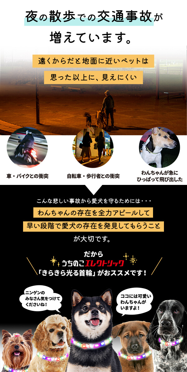 夜の散歩中、車やバイク、自転車との衝突事故が増えています。地面に近いペットは遠くから見えにくく、急な飛び出しで事故につながることも。愛犬を守るためには、存在をしっかりアピールし、早い段階で気づいてもらうことが大切です。そこで、おすすめなのが「うちのこエレクトリック きらきら光る首輪」。