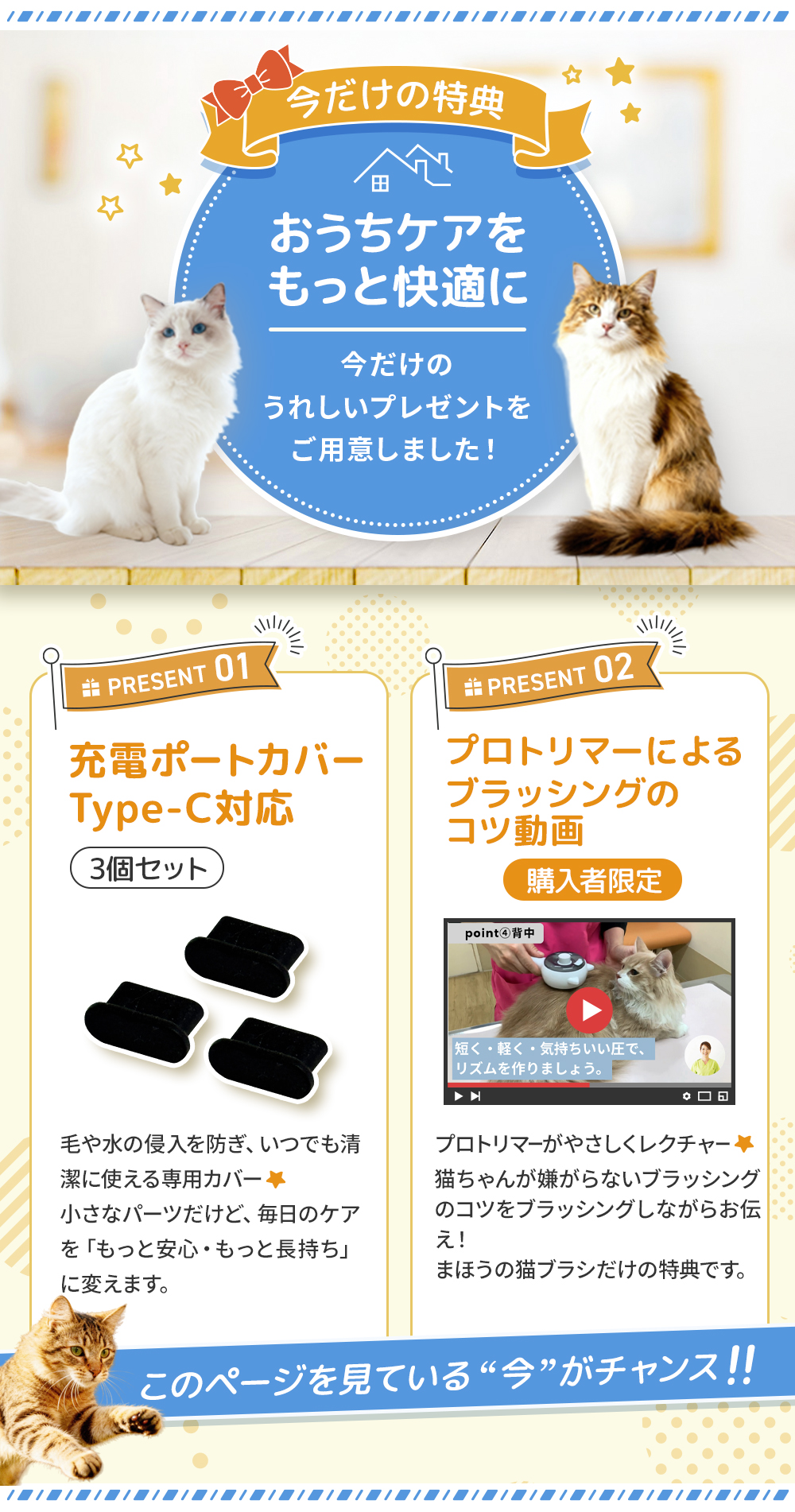 今だけもらえるプレゼント