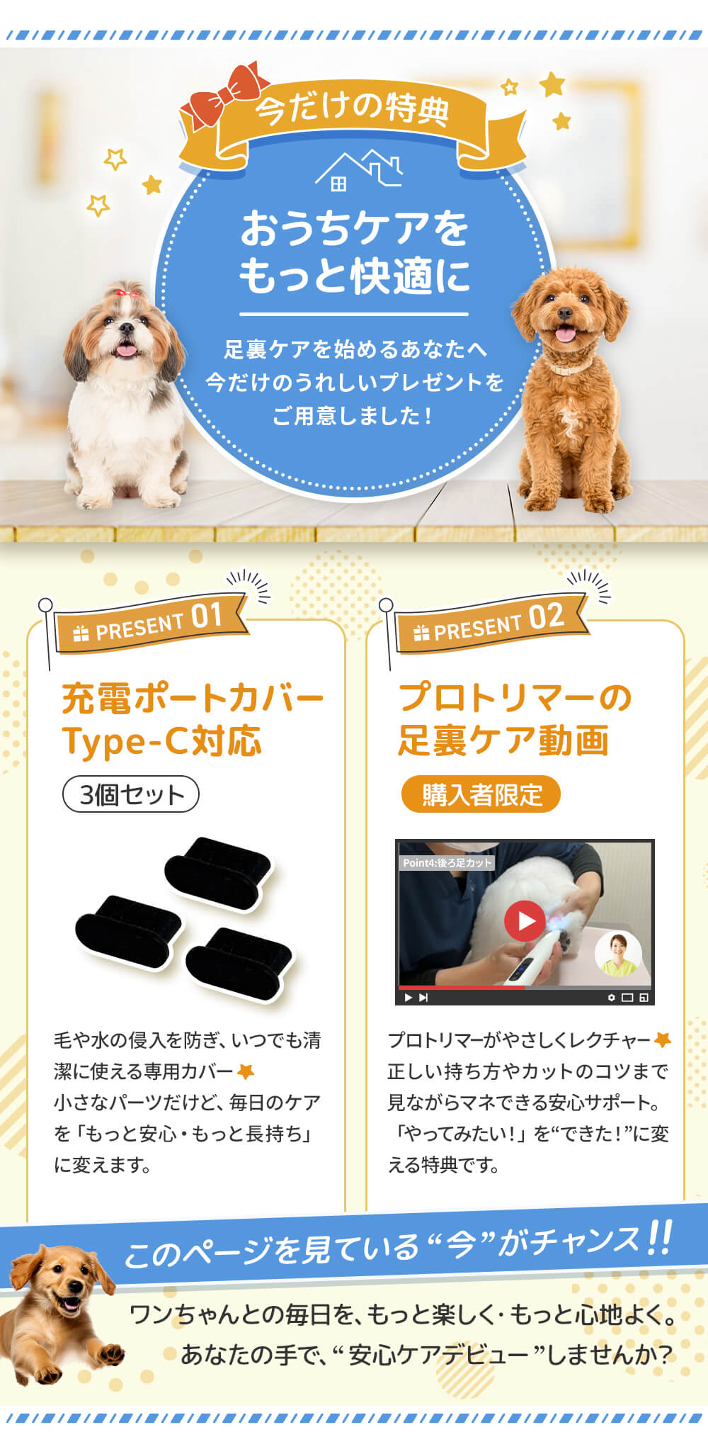 今だけの特典 プレゼント1：充電ポートカバー3つ　2：プロトリマーの足裏ケア動画