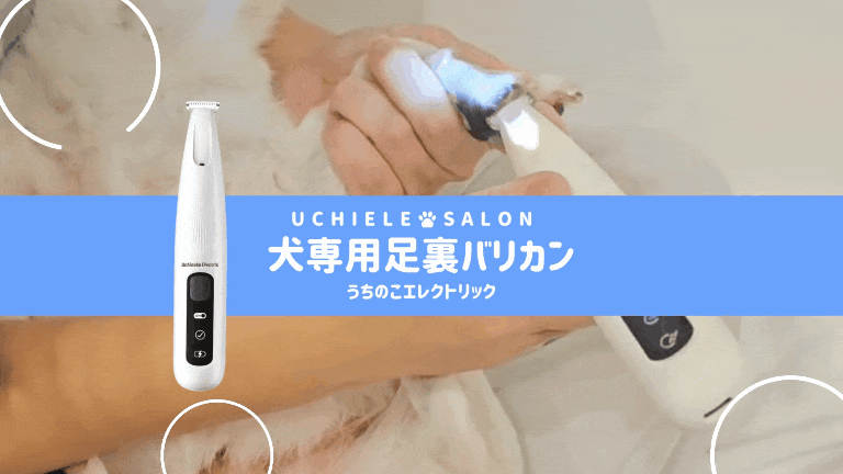 獣医師・トリマーW監修 うちエレサロン 犬専用足裏バリカンショート動画