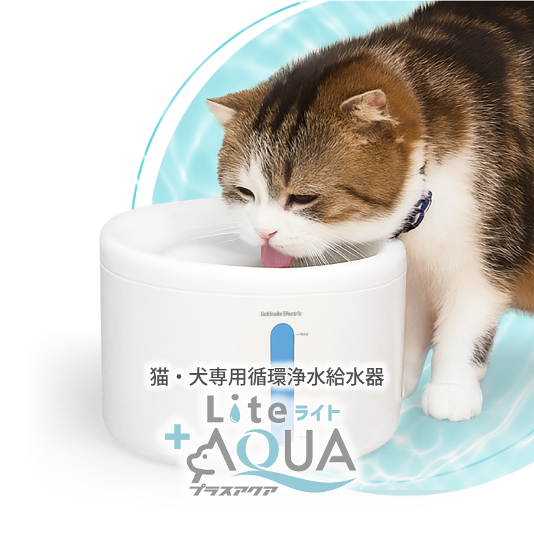 プラスアクアライト +AQUALite plusAquaLite