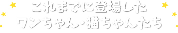 これまでに登場したワンちゃん・猫ちゃんたち