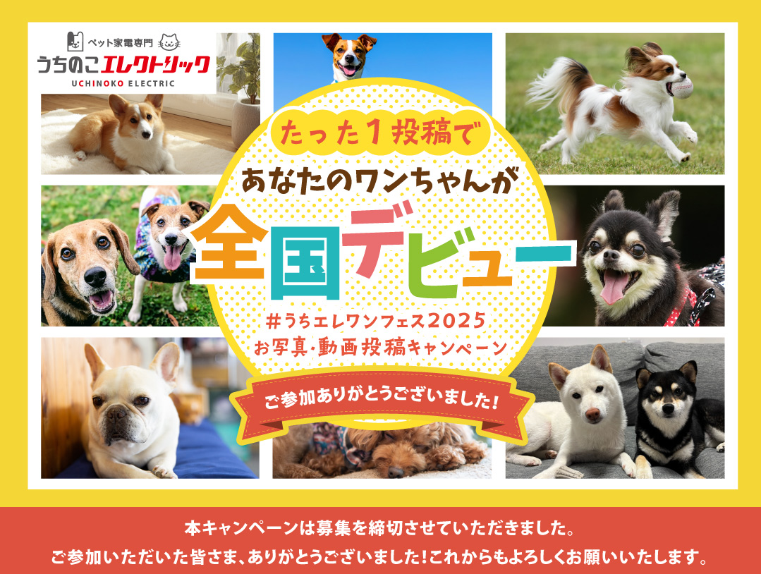 うちのこエレクトリック ワンフェス2025 全国デビューキャンペーン