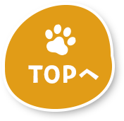 TOPへ戻る