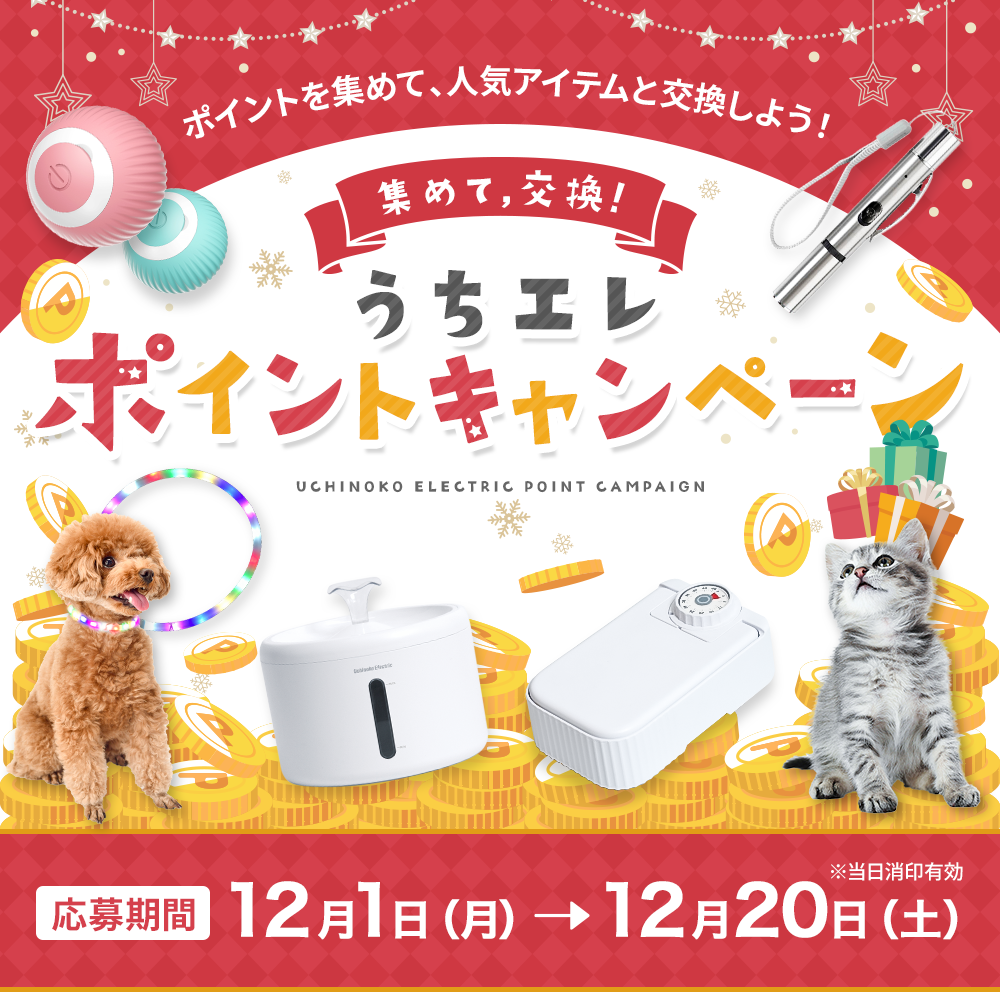 うちエレポイントキャンペーン 応募期間