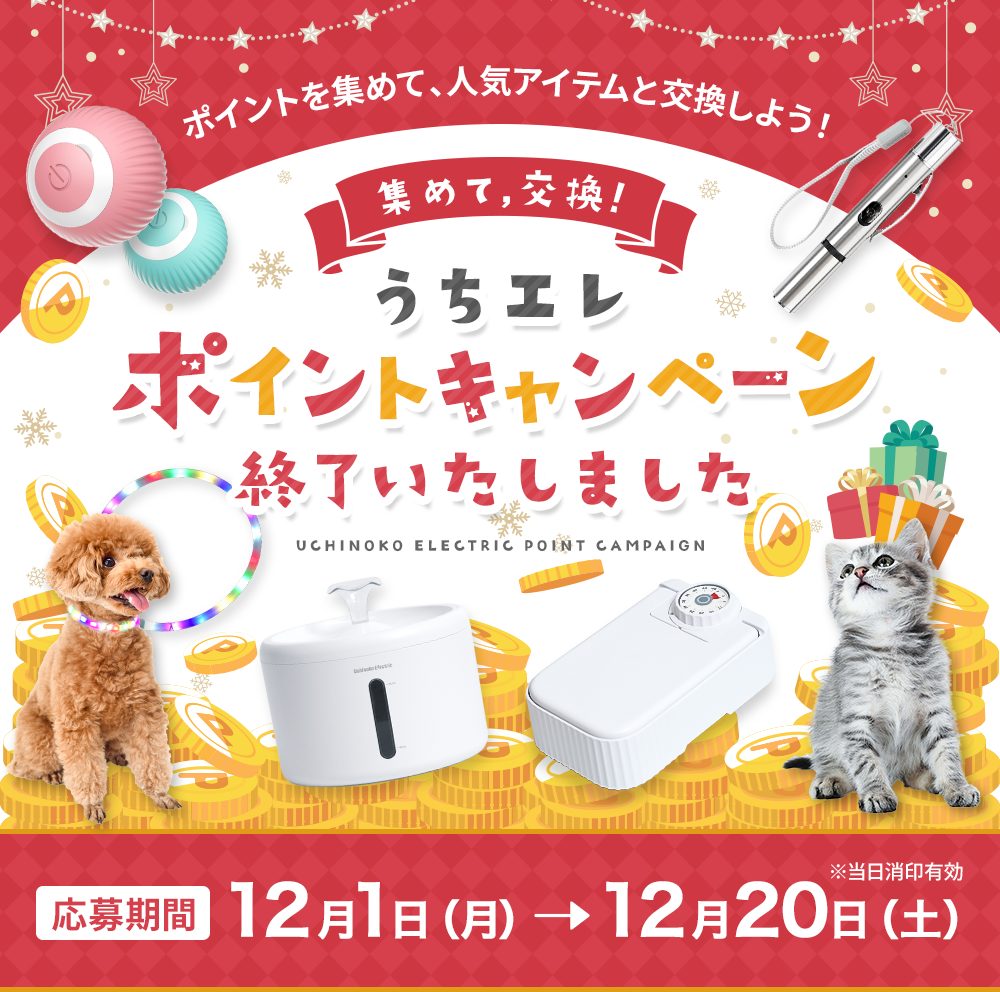 うちエレポイントキャンペーン 応募期間