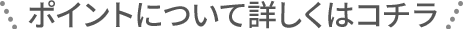 ポイントについて