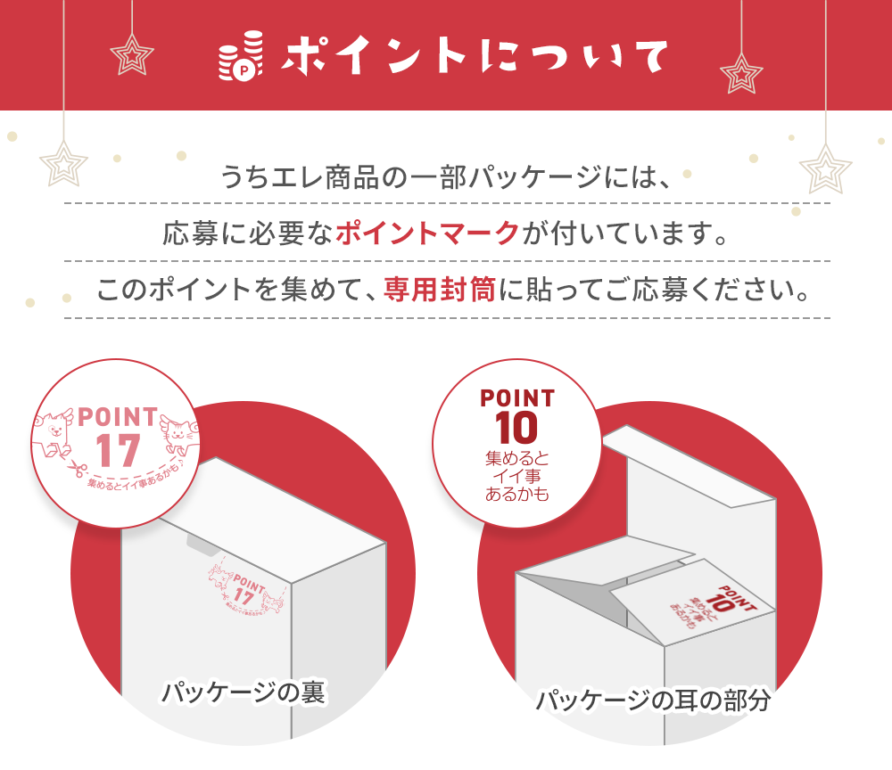 ポイントについて