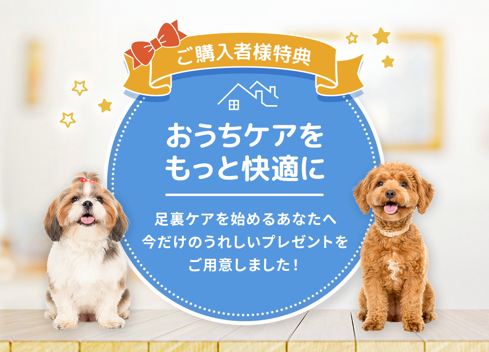 ご購入者様特典