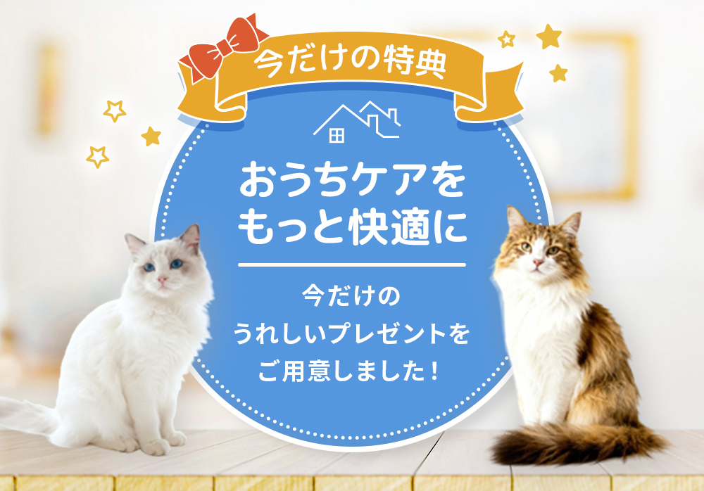 ご購入者様特典